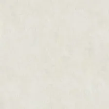 99876