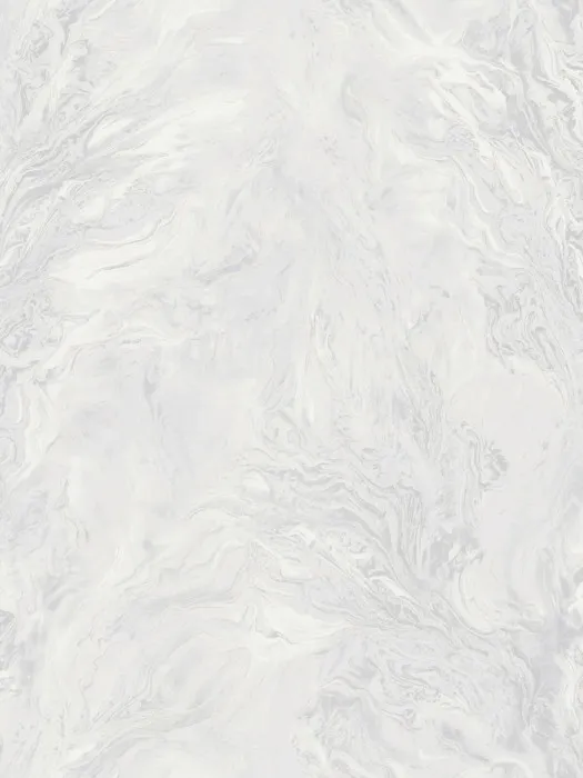 R217113