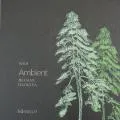 Обои Эмбиплейн 4 (Ambiplain 4) Обои Эмбиплейн 4 (Ambiplain 4) | Дом Декора