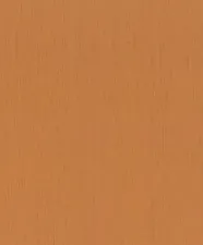 Обои Rasch Indian Style 746099