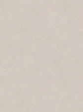 29597-8