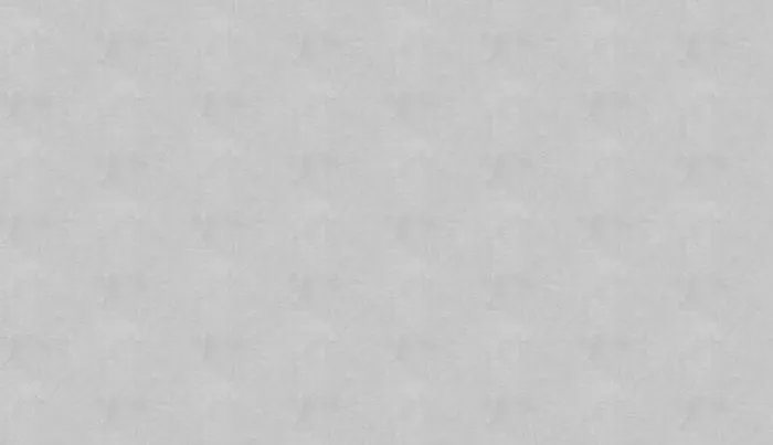 33001_1