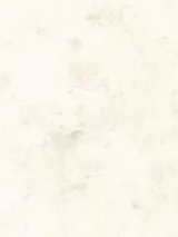 DR1101