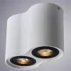 Точечный накладной светильник Arte Lamp FALCON A5644PL-2WH | Дом Декора