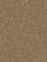 CO 1204