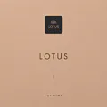 Обои Lotus Materials | Дом Декора