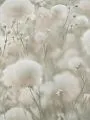 Обои Palitra Cottonia PL72543-72