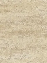 79204-2