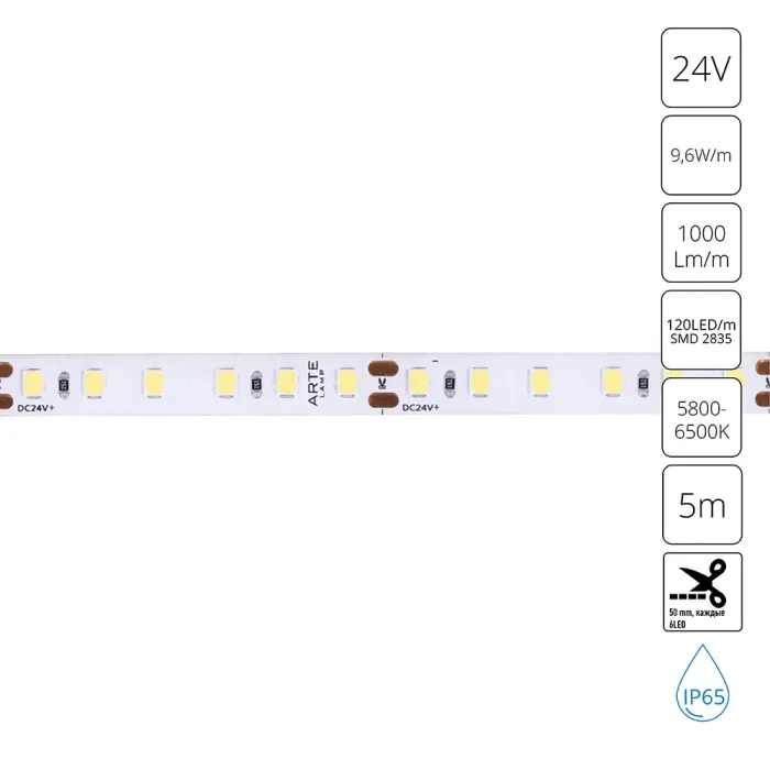 Светодиодная лента 24V 9,6W/m 6000К 5м Arte Lamp AQUA TAPE A2412008-06-6K | Дом Декора
