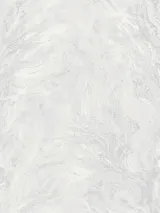 R217113