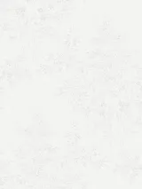 R195101