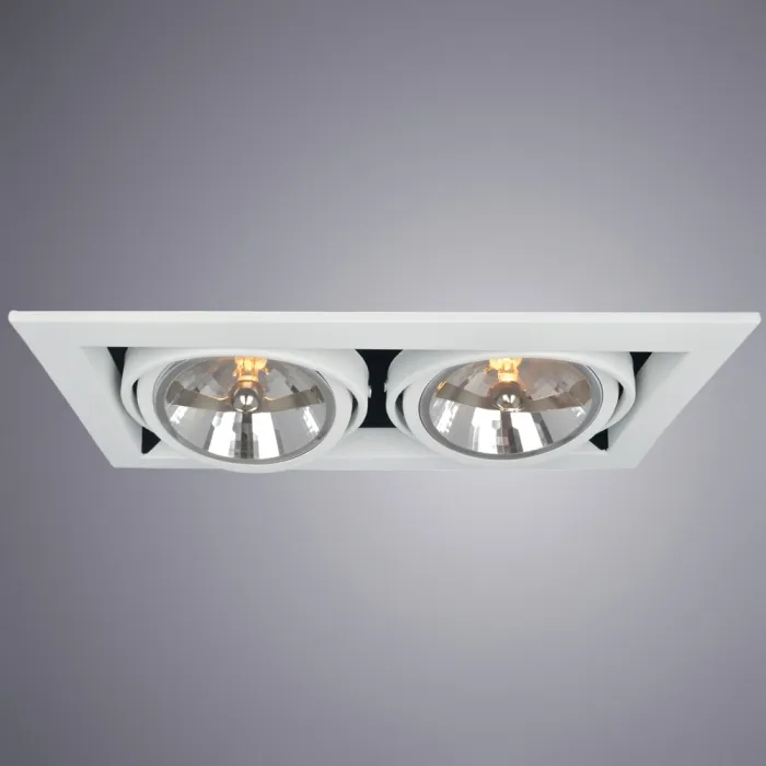 Карданный светильник Arte Lamp CARDANI GRANDE A5935PL-2WH | Дом Декора