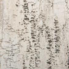 Обои Rasch Composition 554052