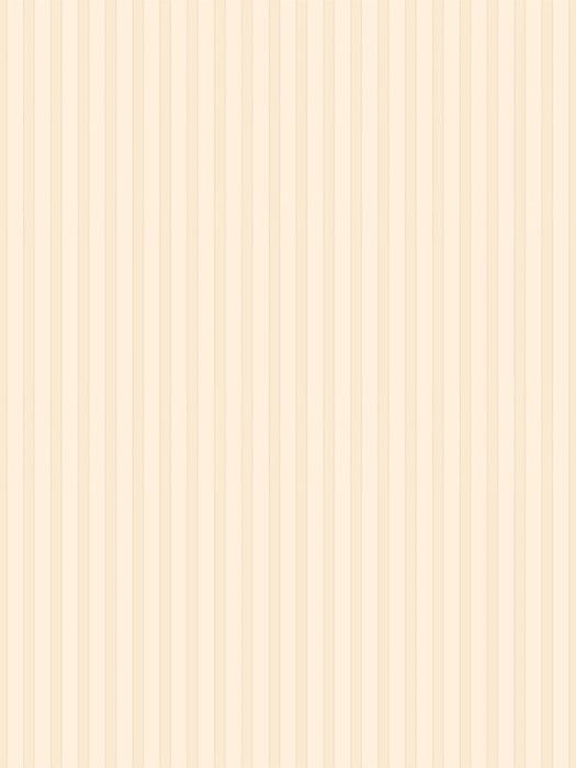 NP5 002-1