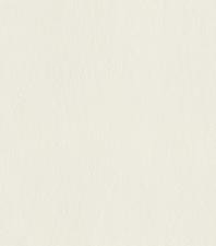 Обои Rasch Rock´n Rolle 540802