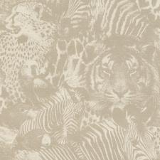 Обои Rasch Kalahari 704716