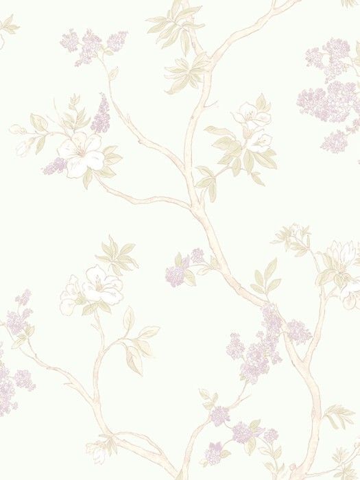 NP1 006-1