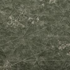 Обои Rasch Composition 554359