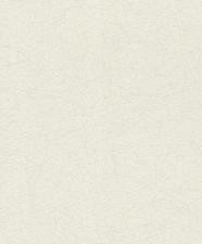 Обои Rasch Rock´n Rolle 541335