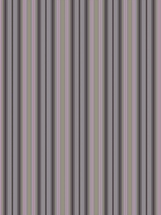 JOLI6 007