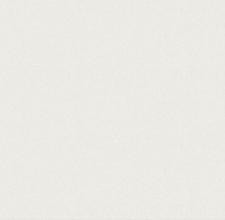 Обои Victoria Stenova COLIBRI VSC285802