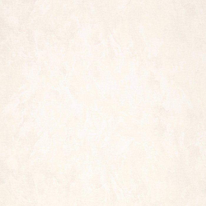 R11170