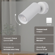 Спот с 1 плафоном DeMarkt Прайм 850012201
