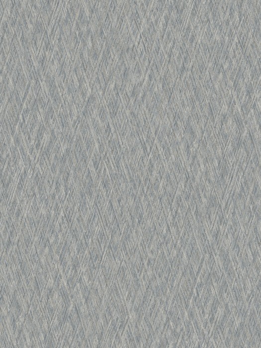 VE 1006