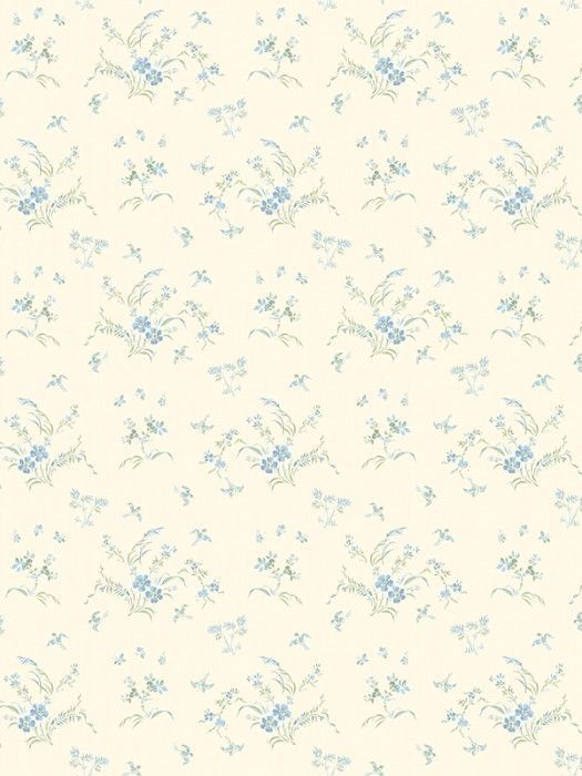 NP4 001